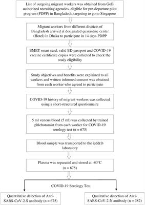 Antibody response to different COVID-19 vaccines among the migrant workers of Bangladesh